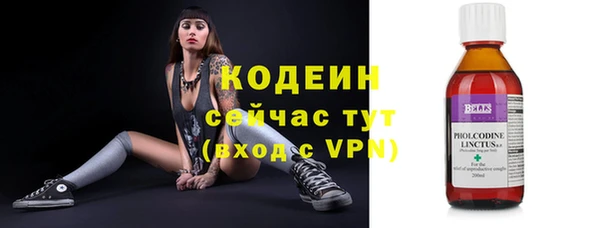 молекула духа Волоколамск