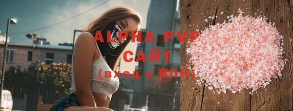 крисы Надым