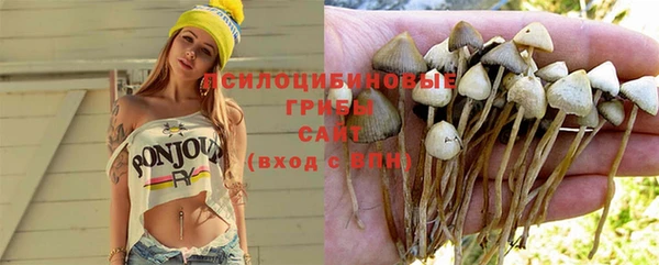 2c-b Нефтекумск