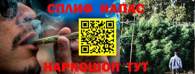шишки Гусев