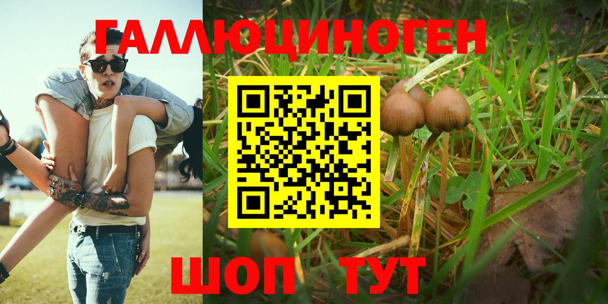 Искитим  Псилоцибиновые грибы Magic Shrooms  где продают   Вход с VPN 