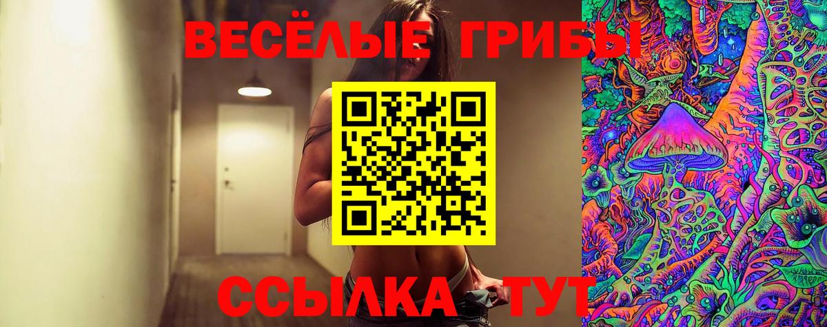 Галлюциногенные грибы мицелий Искитим